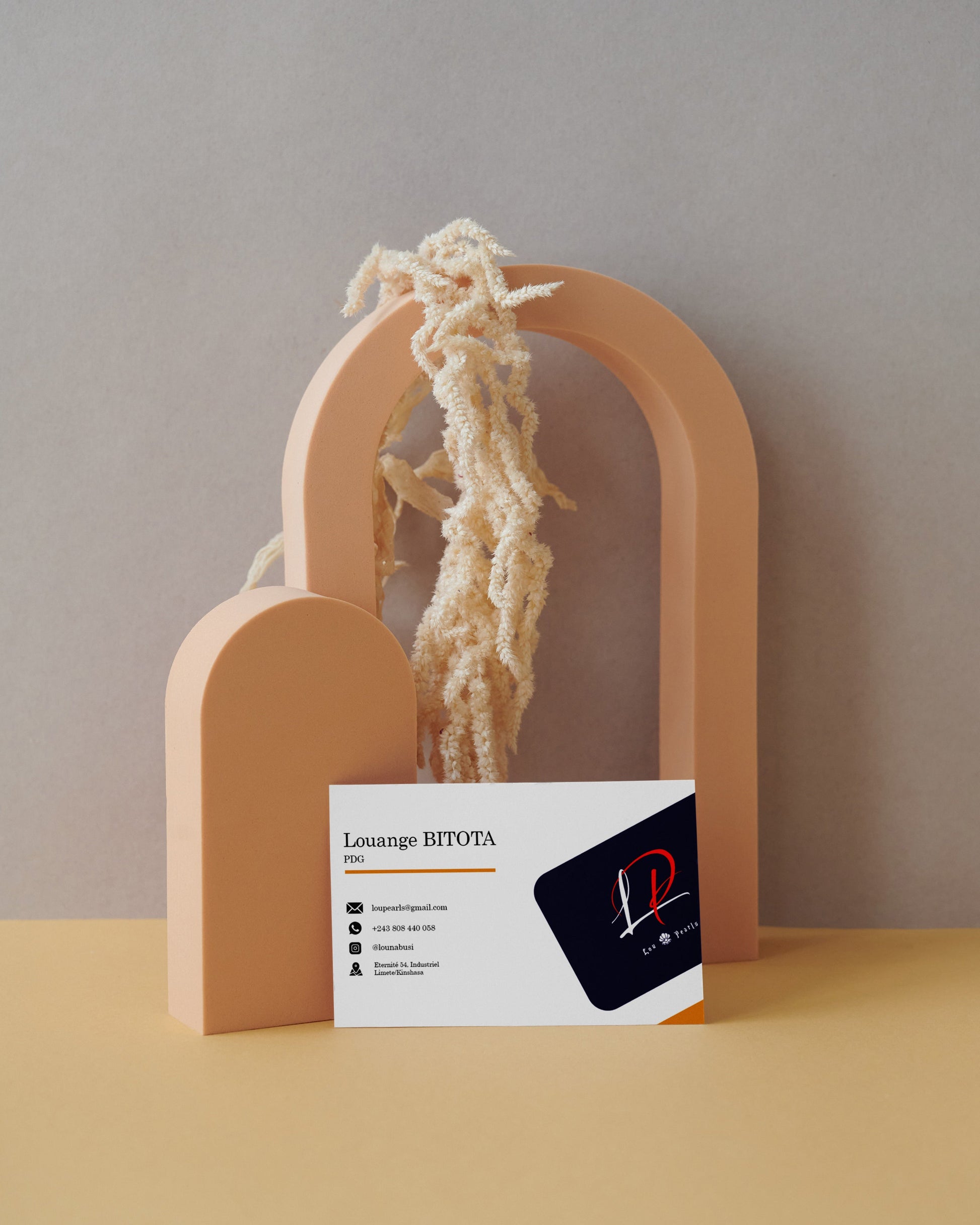 Get a processionnal visiting  card  design .    Proffesional